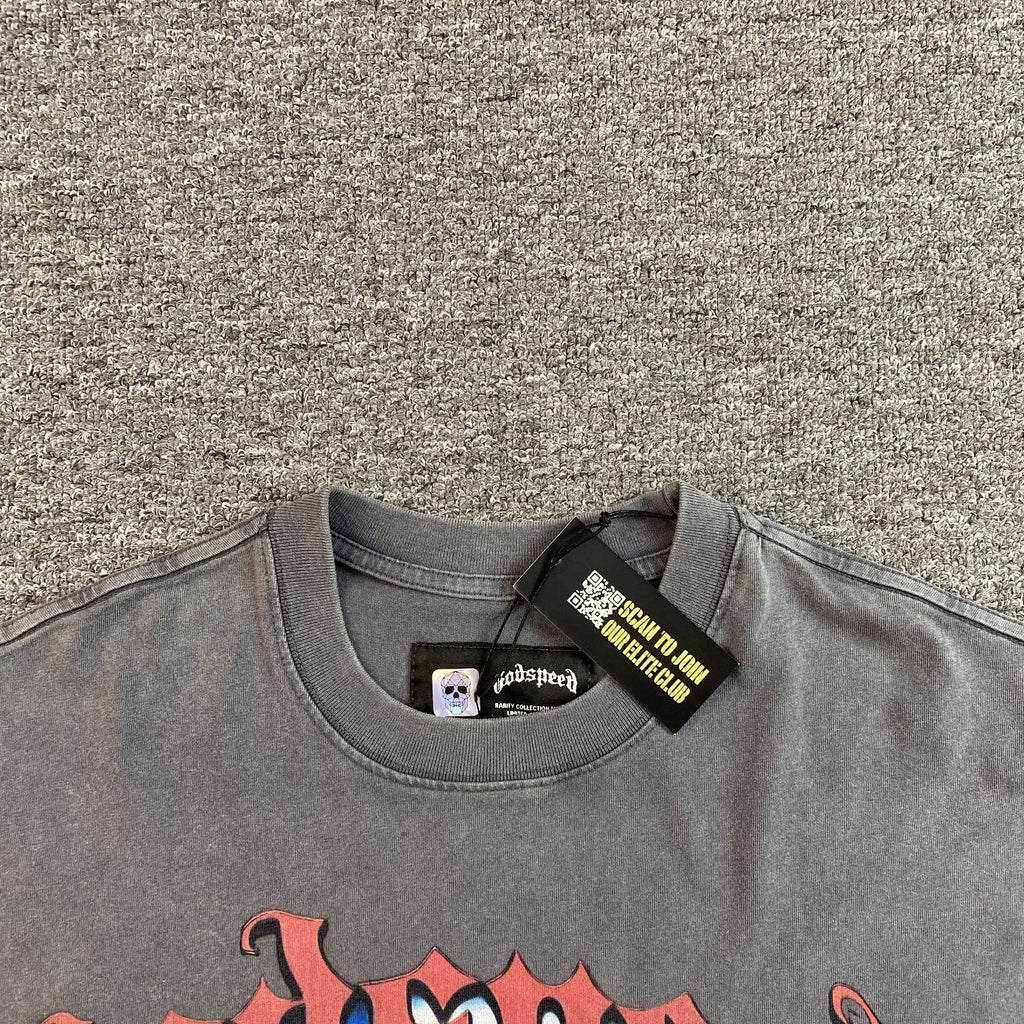 GODSPEED E PLURIBUS UNUM T-SHIRT WASHED GREY - netstar®