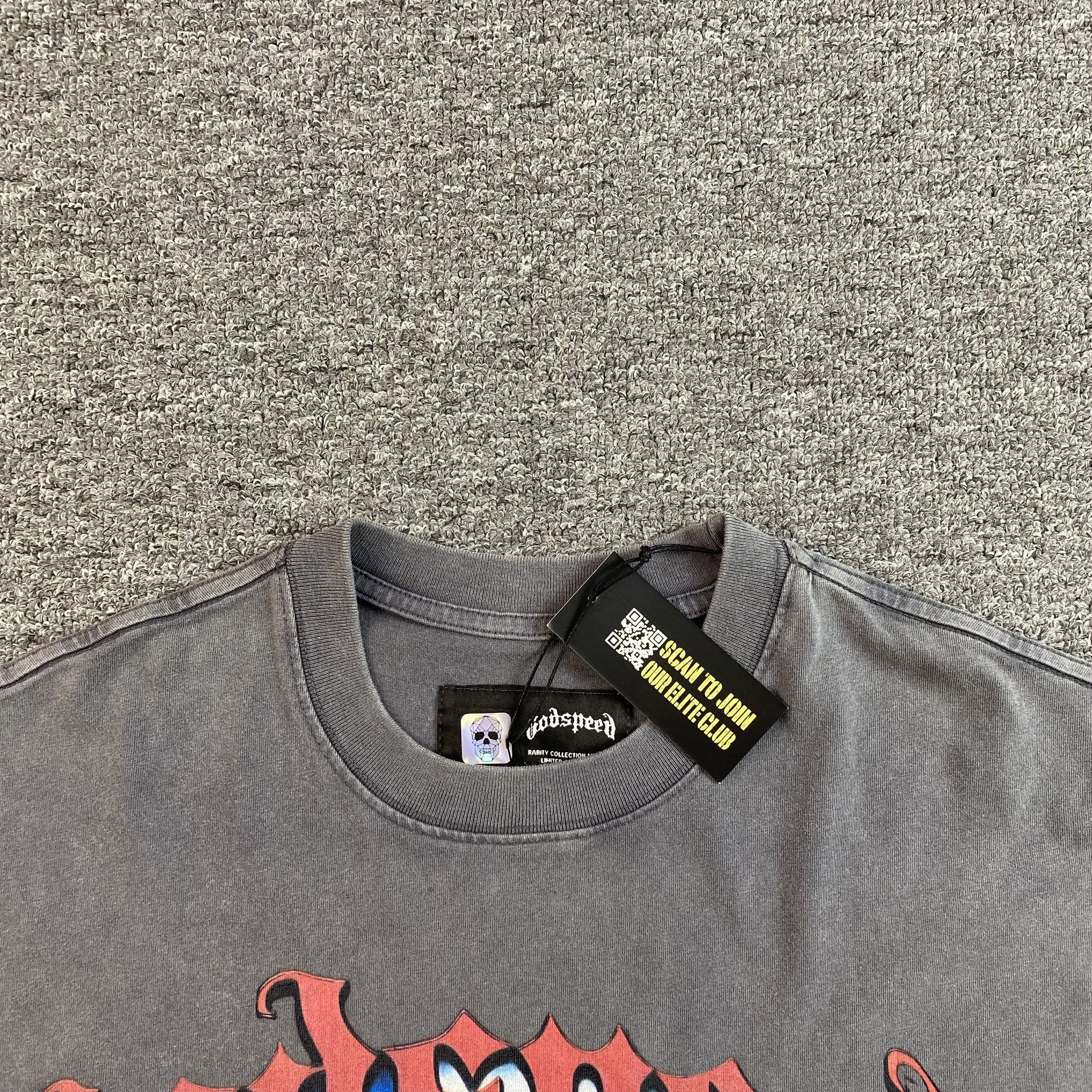 GODSPEED E PLURIBUS UNUM T-SHIRT WASHED GREY - netstar®