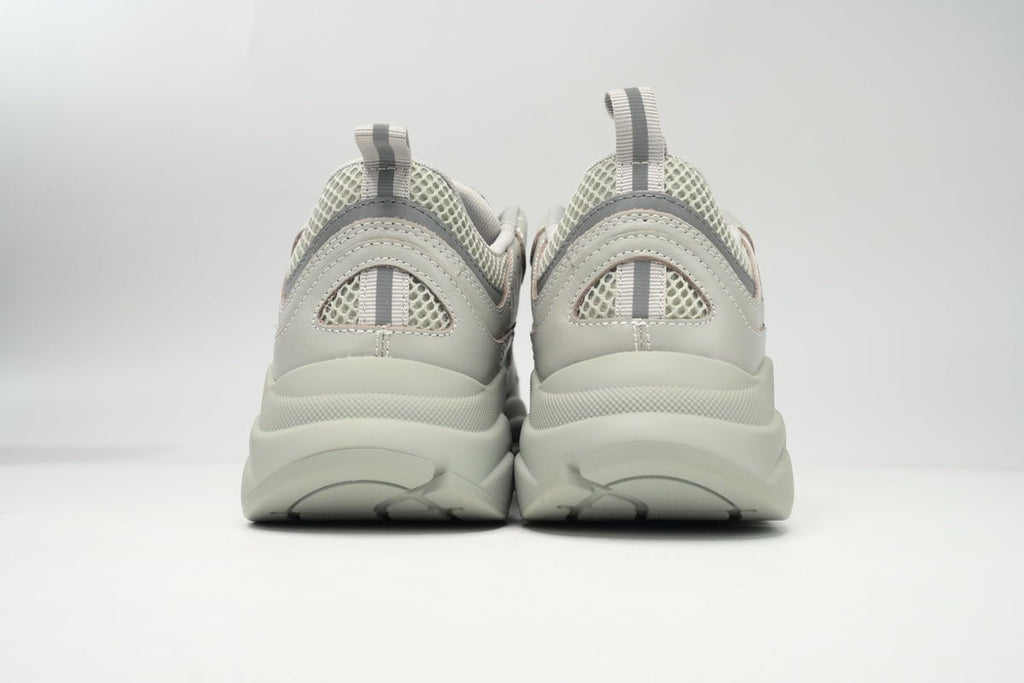 DIOR B22 GREY - netstar