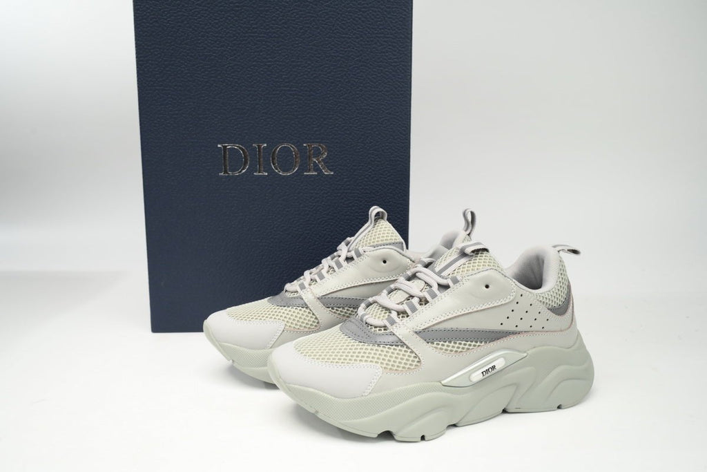 DIOR B22 GREY - netstar