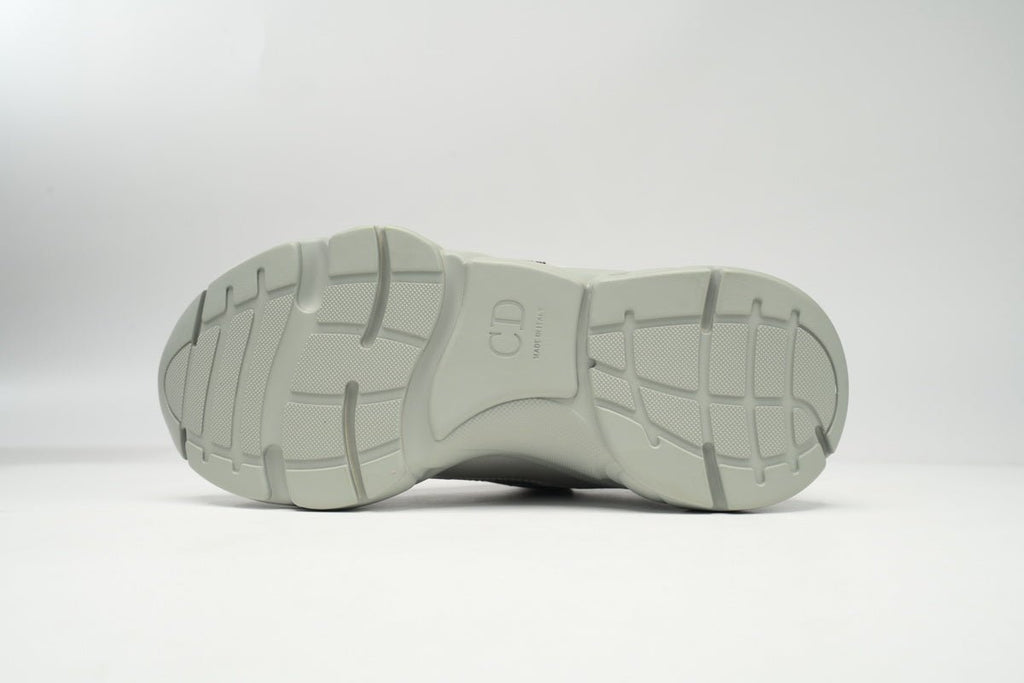 DIOR B22 GREY - netstar