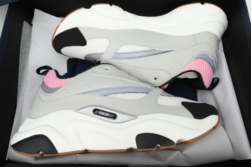 DIOR B22 PINK GREY - netstar
