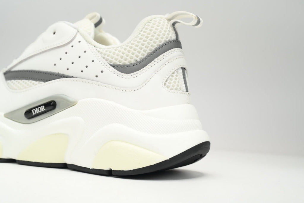 DIOR B22 WHITE SILVER - netstar