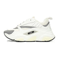 DIOR B22 WHITE SILVER - netstar