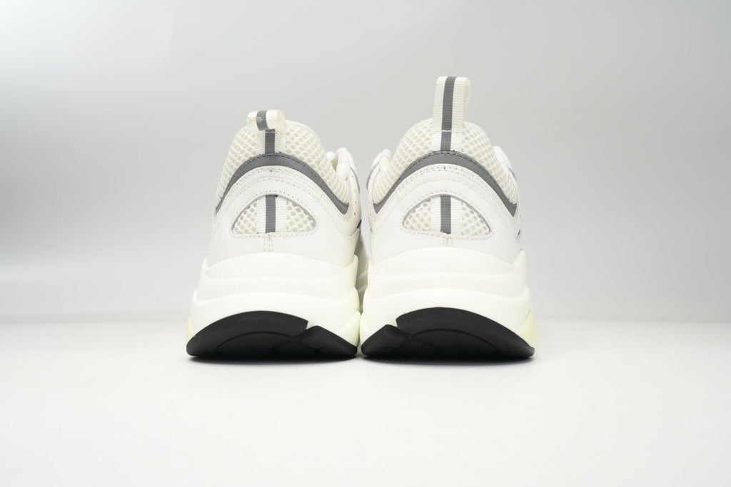 DIOR B22 WHITE SILVER - netstar