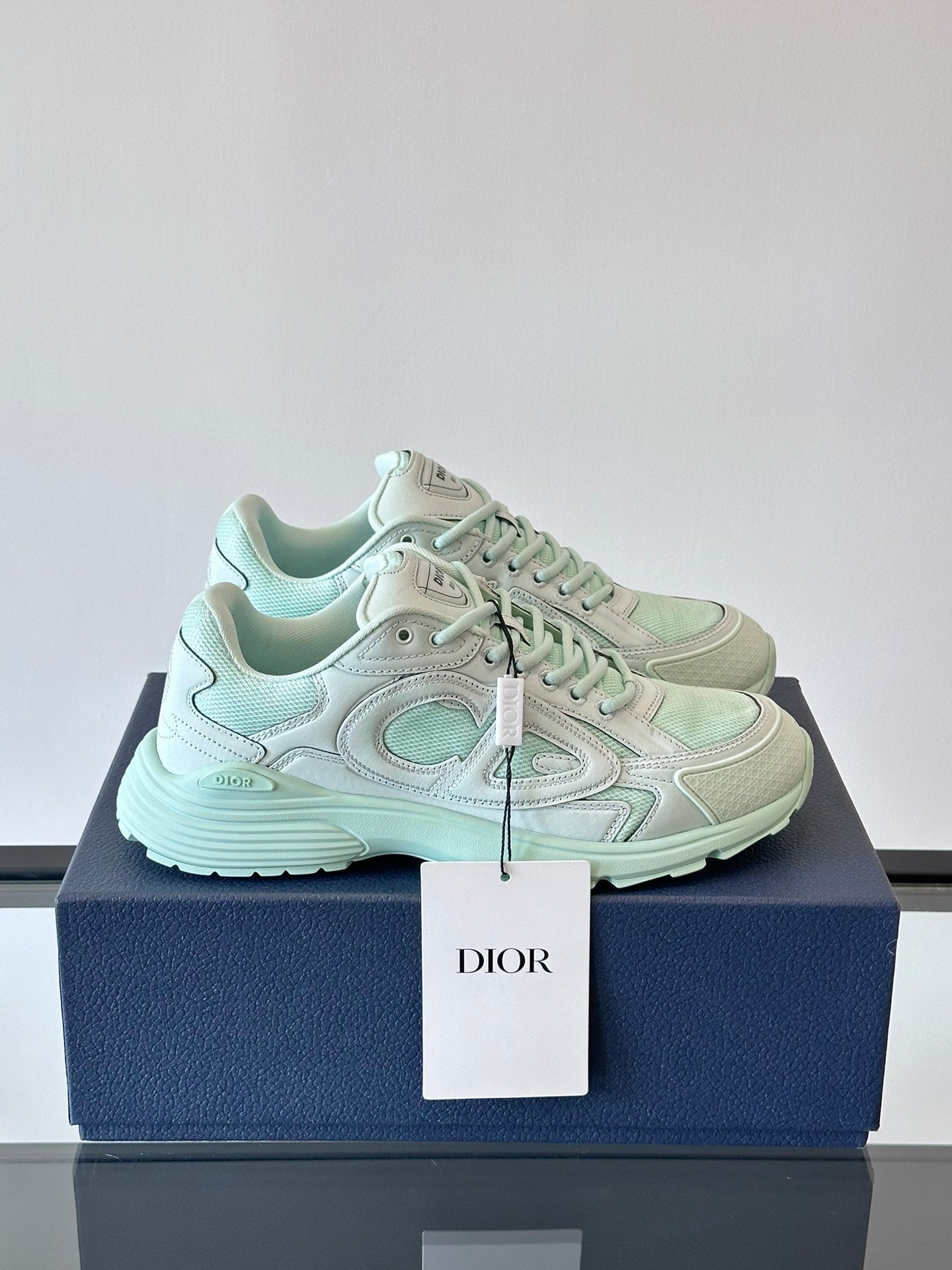 DIOR B30 LIGHT GREEN - netstar