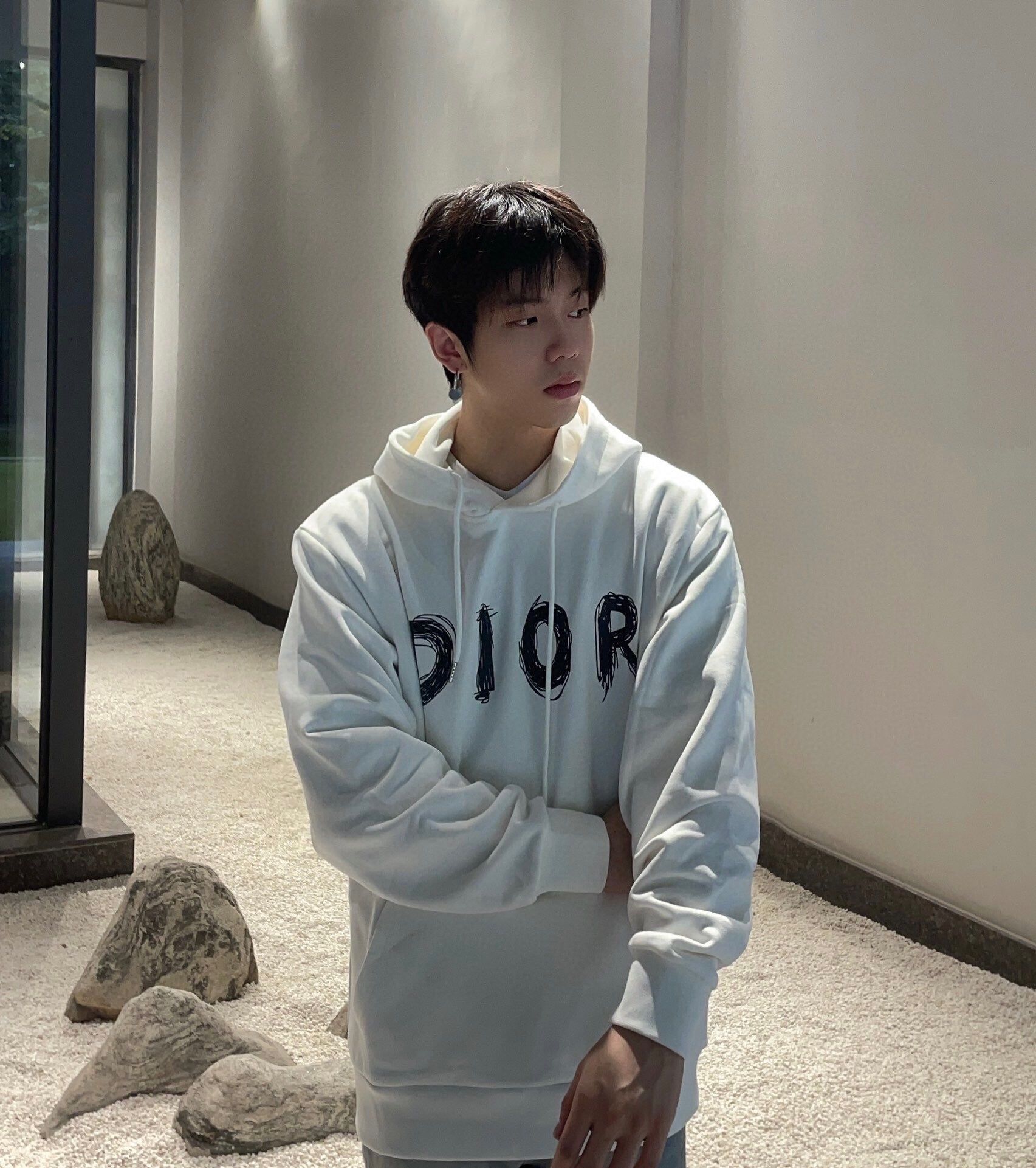 Dior Brushstroke Hoodie - netstar