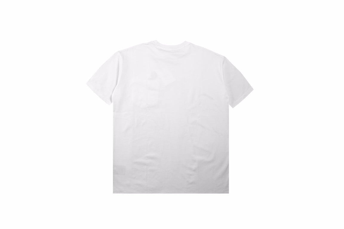 Dior Embroidered Lizard T-Shirt - White - netstar