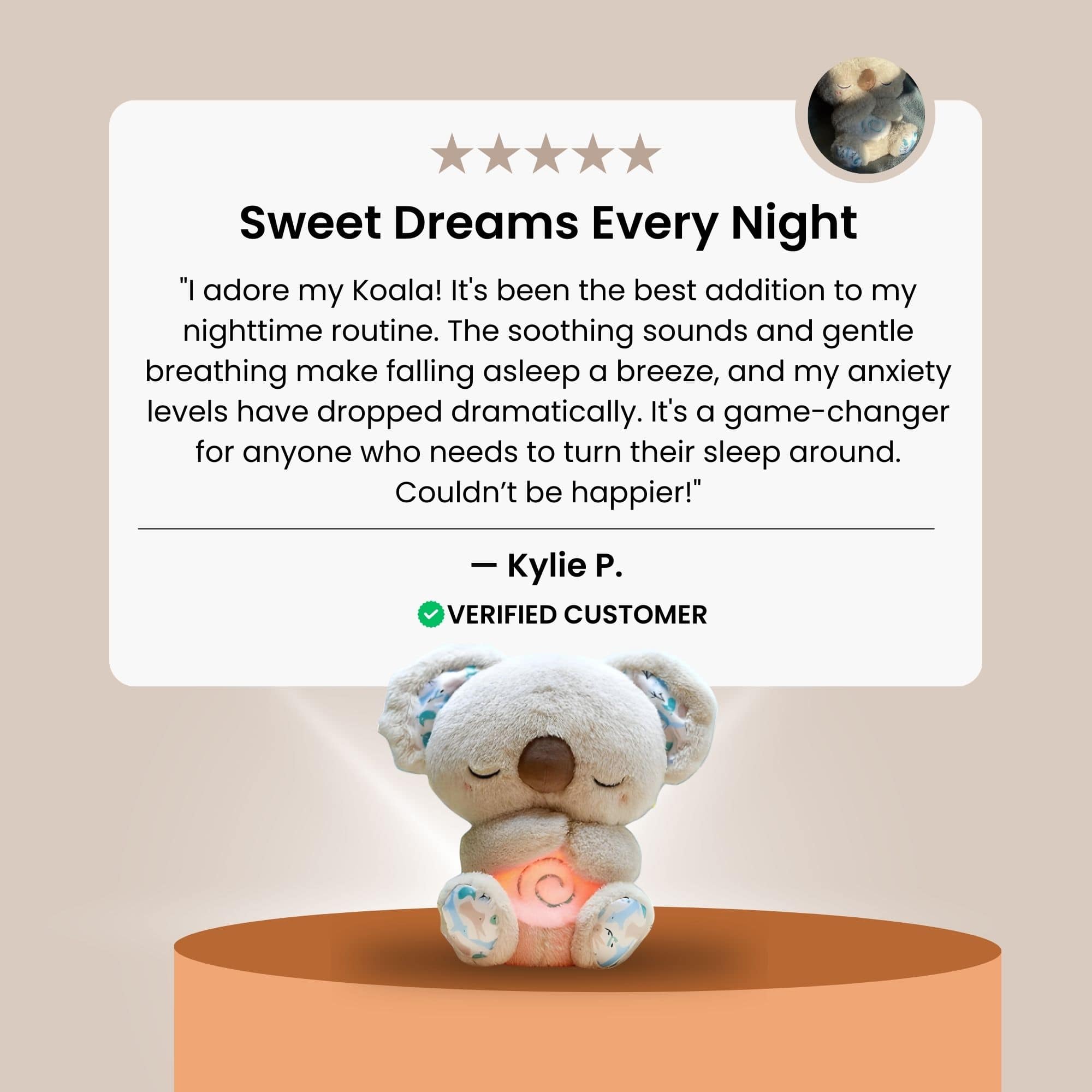 TheCuddler Koala™ - netstar