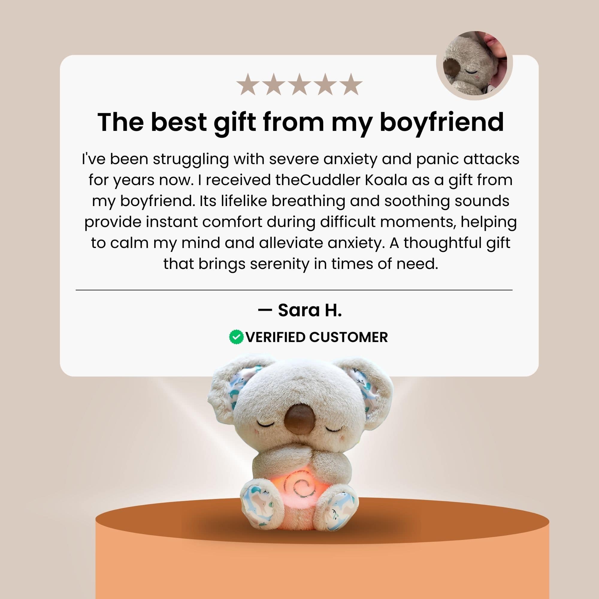 TheCuddler Koala™ - netstar